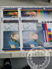 Grafički strojevi offset stroj, SCREEN 344N