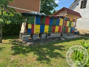 ostalo ostali ebelnjak 